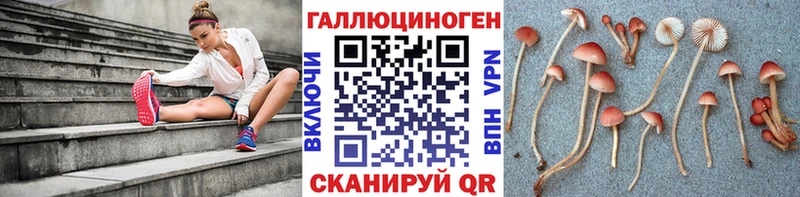 Галлюциногенные грибы Magic Shrooms  Купить  Уяр 